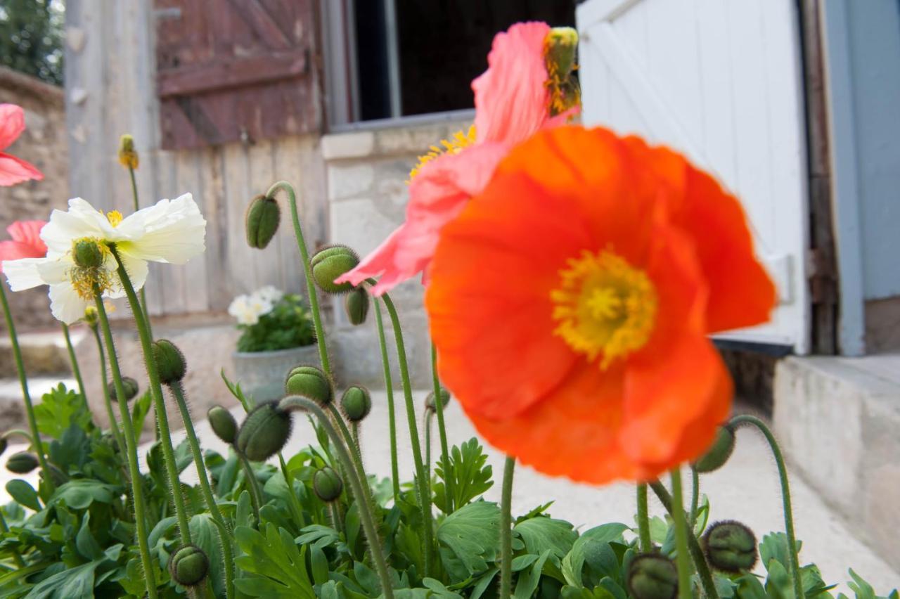 Bed & Breakfast Capucine Honfleur