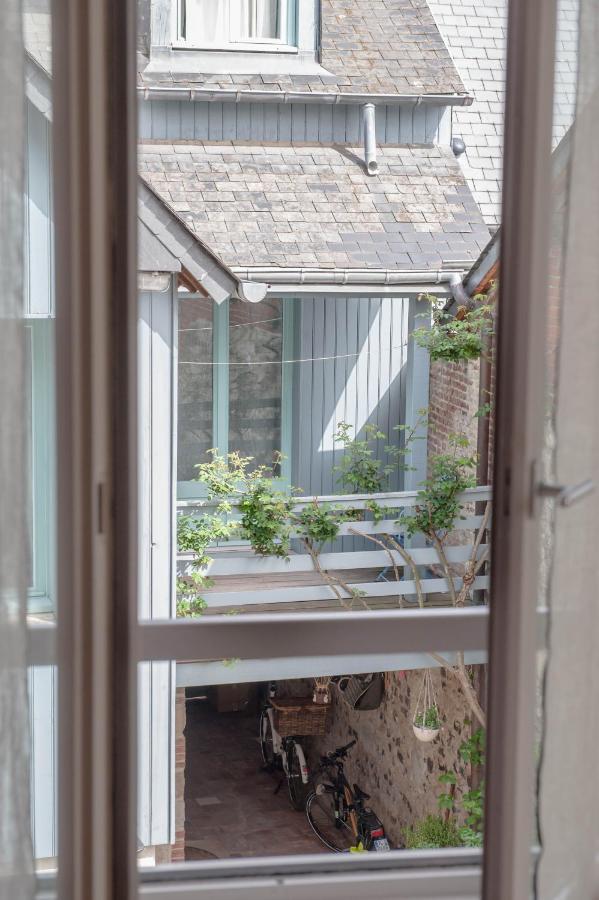 Capucine * Honfleur